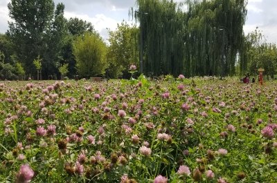 Stołeczni radni uchwalili cztery plany miejscowe