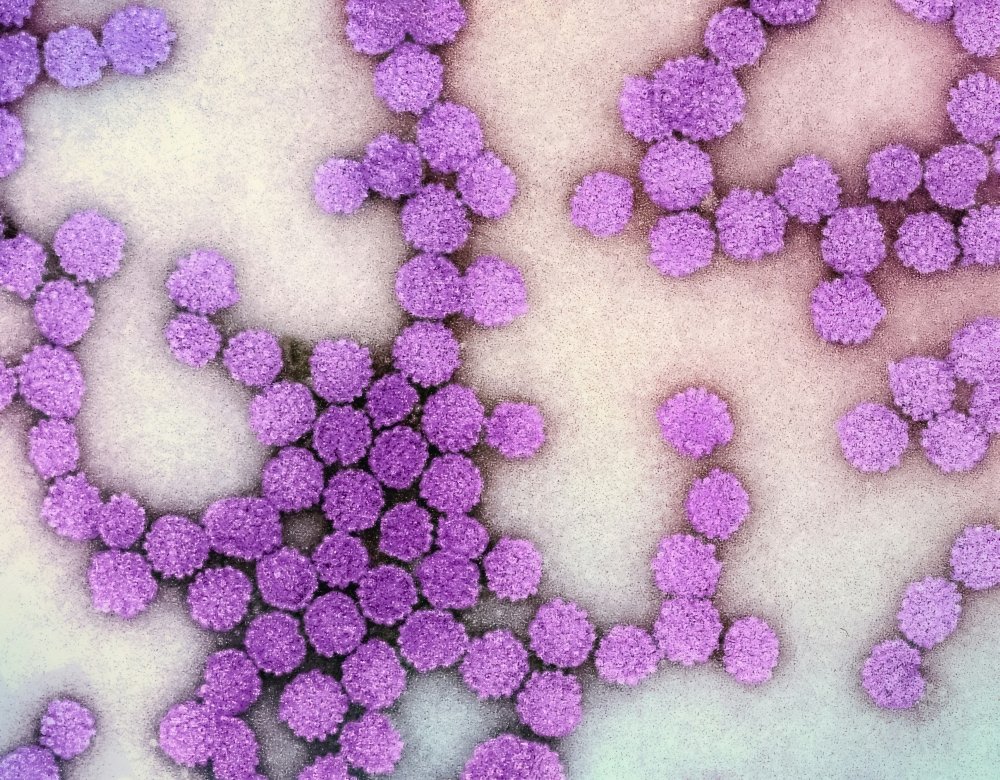 Od 1 września program szczepień na HPV także dla 9- i 10-latków