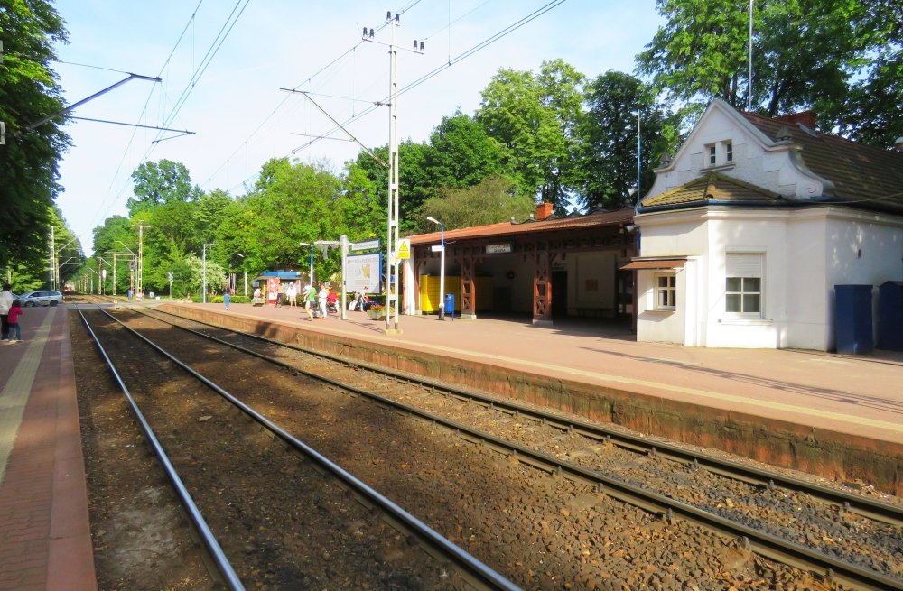 Dramat na stacji Podkowa Leśna. Są utrudnienia!