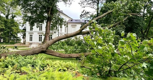 Łazienki Królewskie zdewastowane!