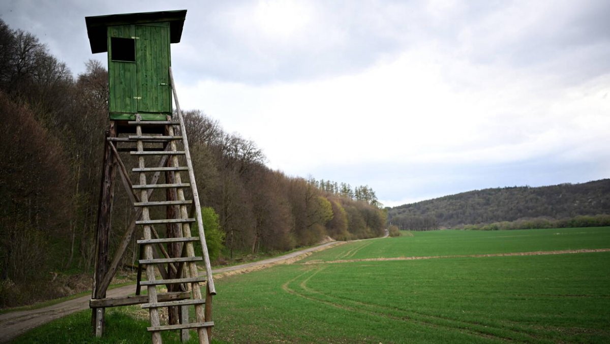 Podpalali ambony myśliwskie; grozi im do pięciu lat więzienia