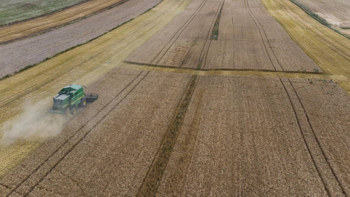 Podawali się za pracowników PIP i oszukiwali rolników z Mazowsza