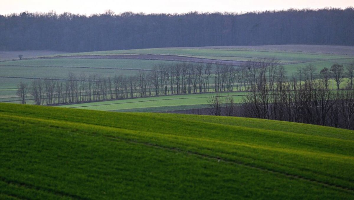 KOWR sprzeda grunty zgodnie z planem gminy