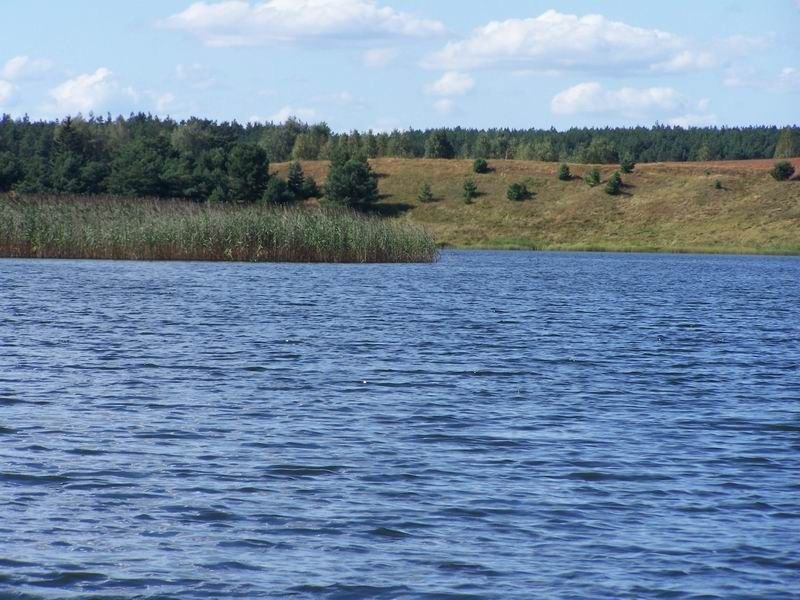 Dwie ofiary skoków do jeziora