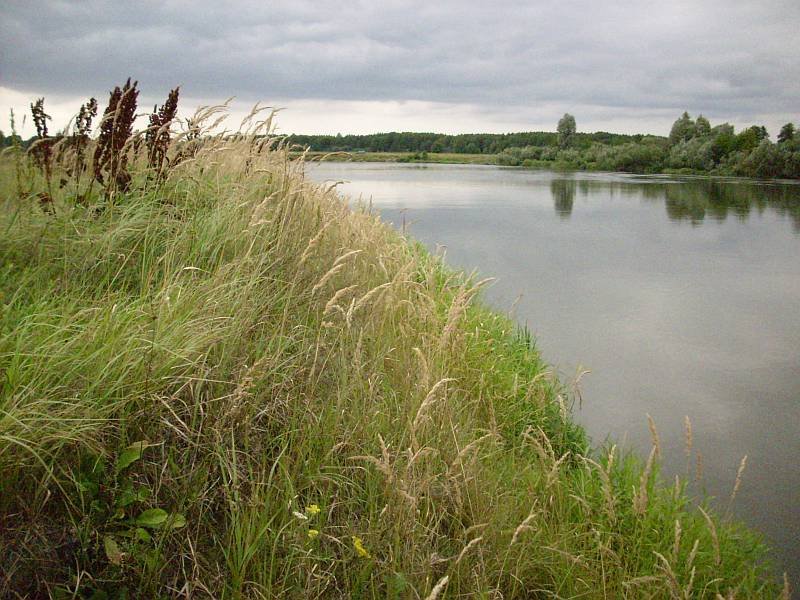 Tragedia pod Wyszkowem. Utonęli dwaj chłopcy