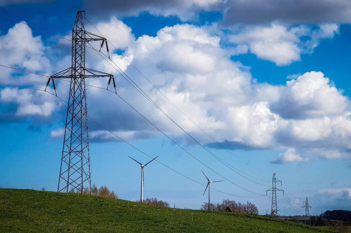 Mrożenie cen prądu będzie dotyczyło wszystkich gospodarstw domowych? 