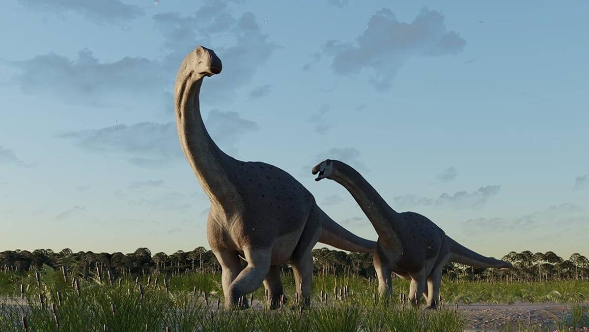 Badacze odkryli nowy gatunek dinozaura z Patagonii