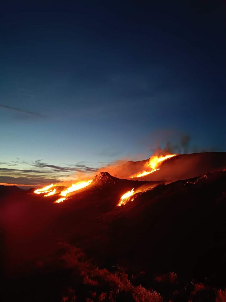 Bieszczady/ Straty po pożarze na Połoninie Caryńskiej