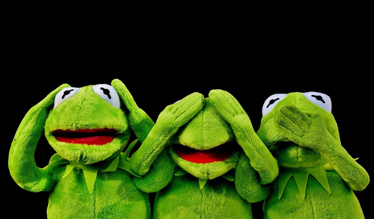 Odkryli nowy gatunek proto- płaza sprzed 270 milionów lat. Nazwali go Kermit