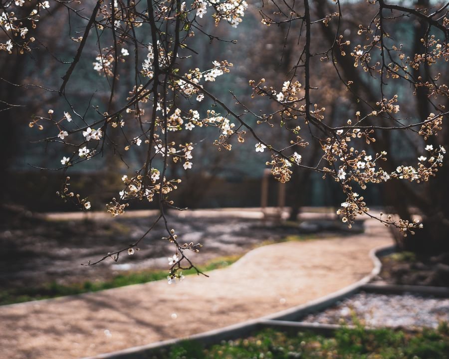 Nowy park w Warszawie coraz bliżej
