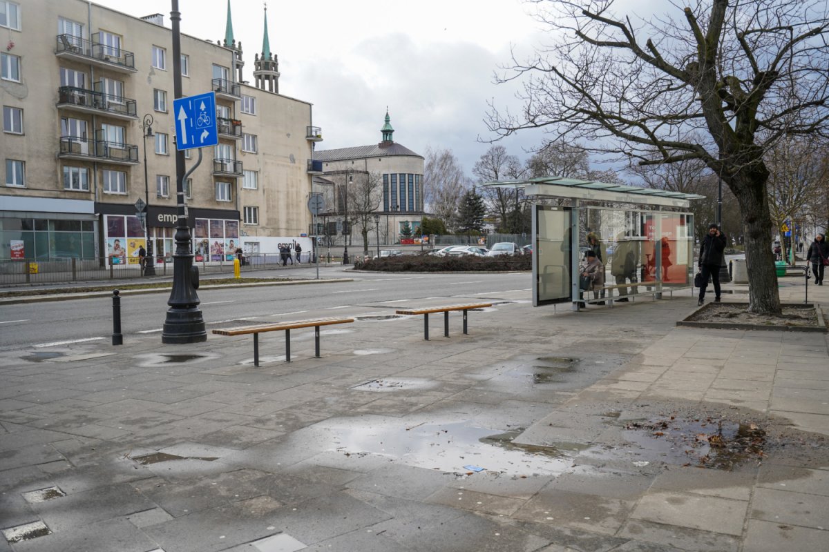 Na placu Wilsona beton zastąpią kwiaty, drzewa i drzewa?
