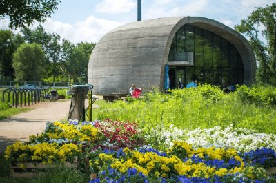 Bezpłatne warszaty o przyrodzie, spacery i wspólne sadzenie kwiatów