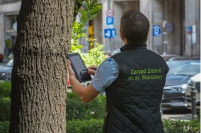 Mapa lokalizacji pni drzew - nowe narzędzie, które pomoże chronić naturę