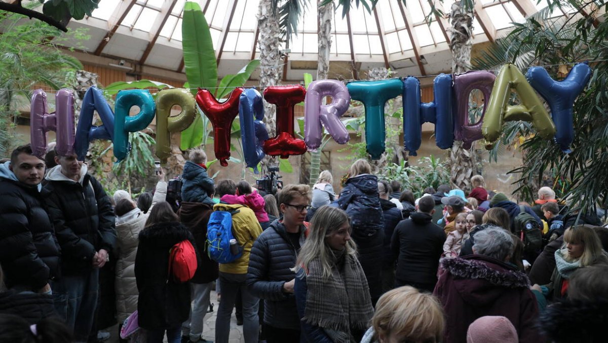 W warszawskim zoo słoń Leon świętuje 23 urodziny 