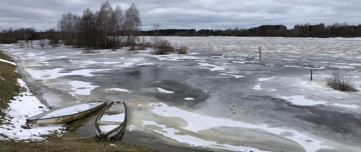Wysoki poziom wody na Bugu, podtopienia pod Wyszkowem