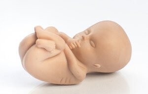 Do Sejmu wpłynął projekt KO: aborcja do 12 tygodnia ciąży