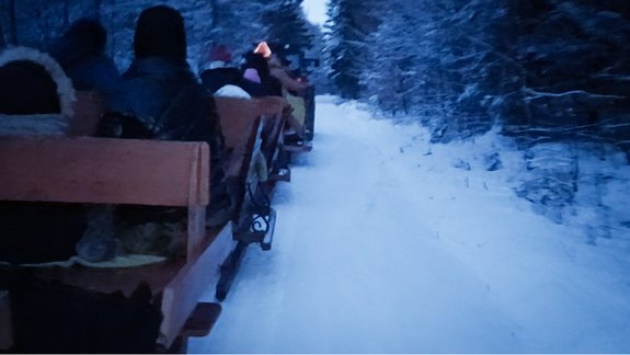 Wypadek podczas kuligu. 38-latka trafiła do szpitala