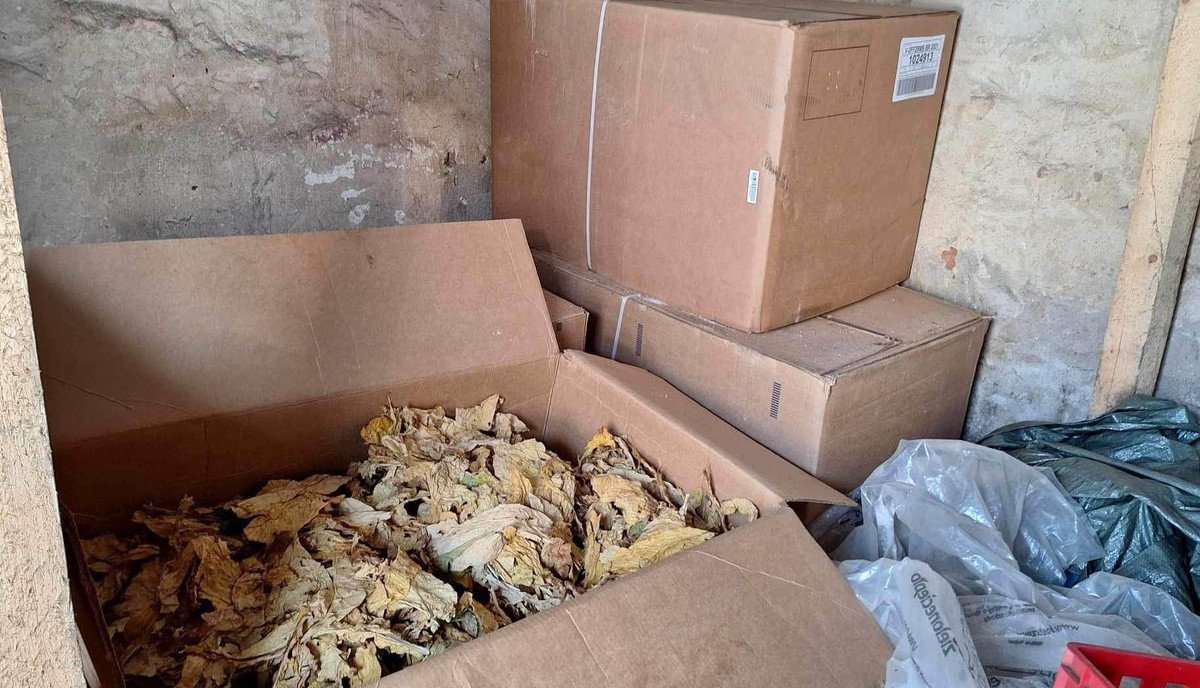 700 kg wyrobów tytoniowych bez polskich znaków akcyzy