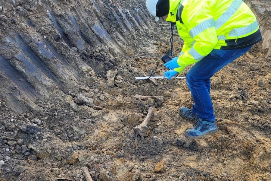 Kości sprzed kilkuset lat na budowie metra