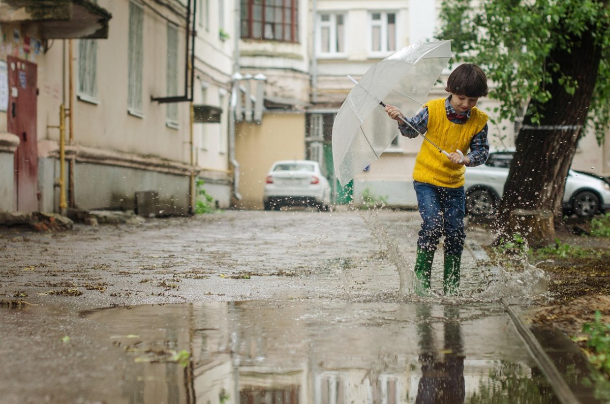 Czy warszawskie ulice są czyste? Podsumowanie 2023 roku
