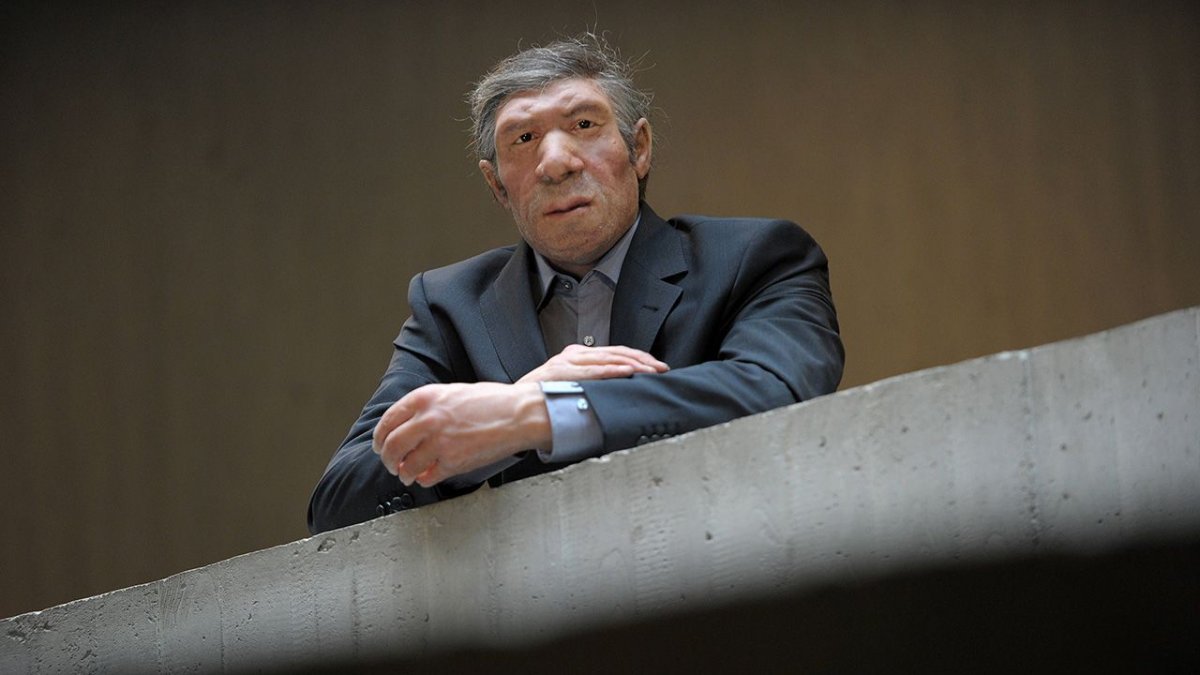 Neandertalczycy to były ranne ptaszki