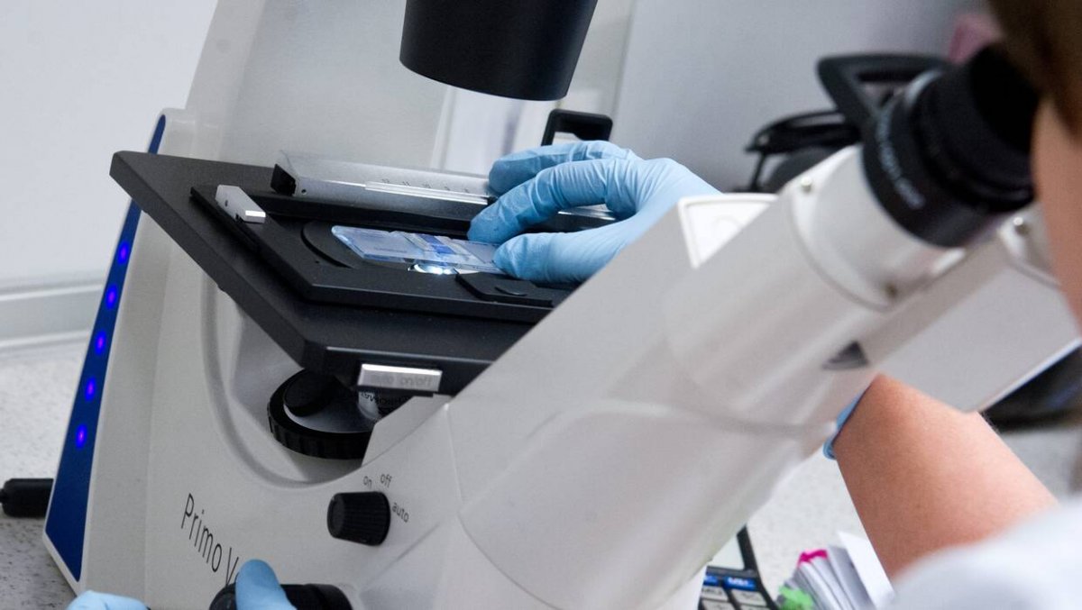 Prezydent Duda podpisał nowelizację ustawy o finansowaniu in vitro ze środków publicznych