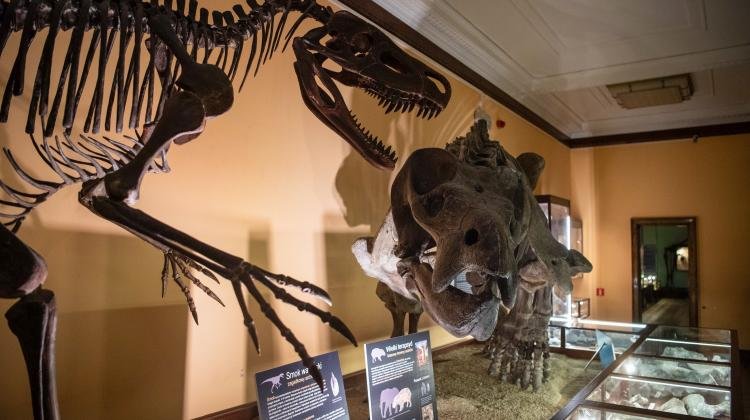 Apel PAN o utworzenie Muzeum Historii Naturalnej w Warszawie
