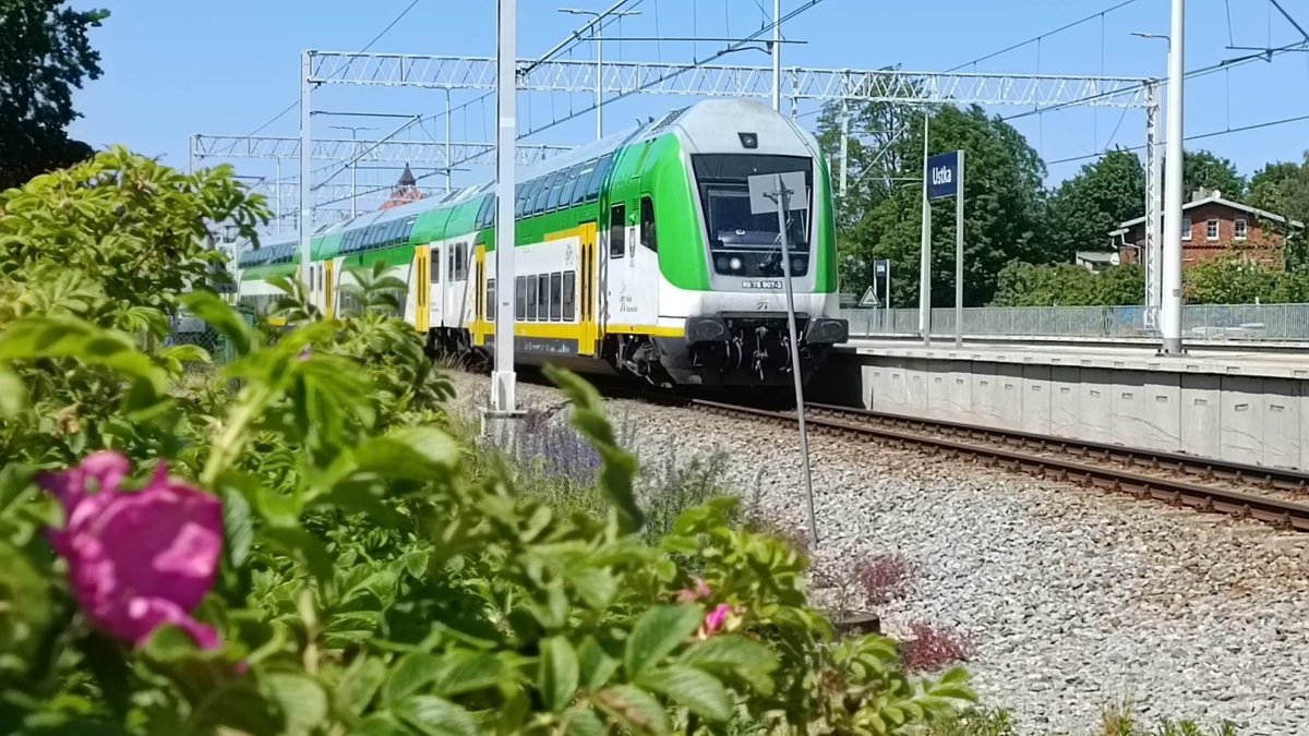 Wstrzymano ruch pociągów między Ciechanowem a Gąsocinem