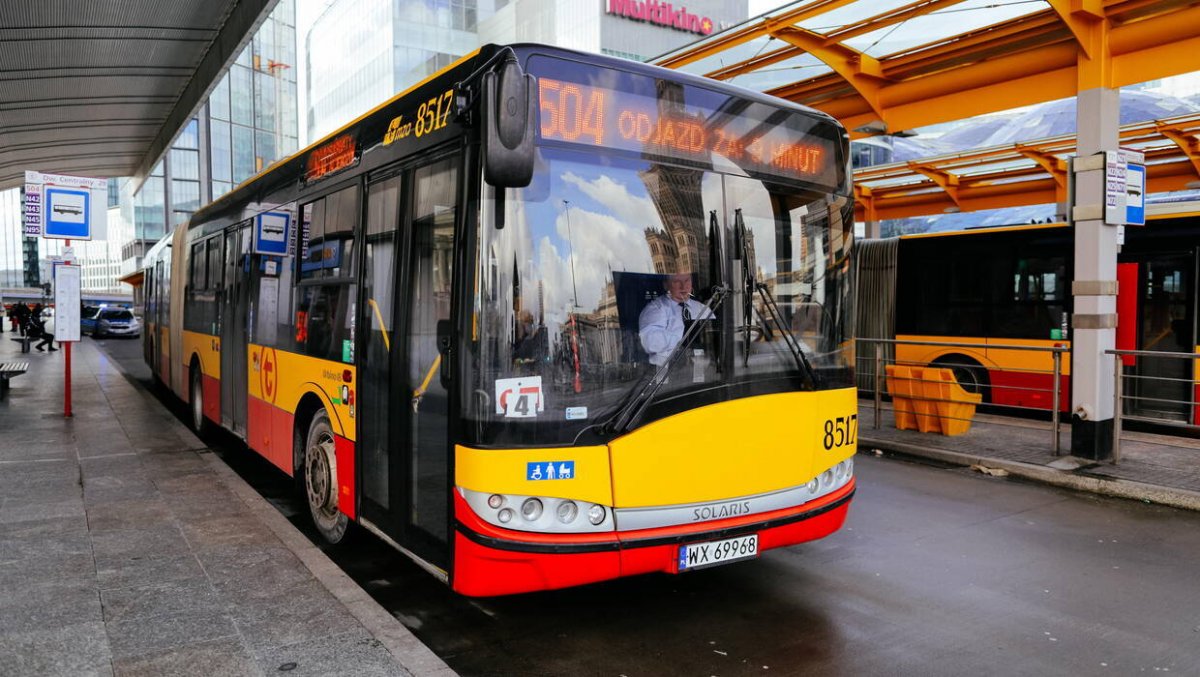 Autobusy 211 wracają na swoją trasę