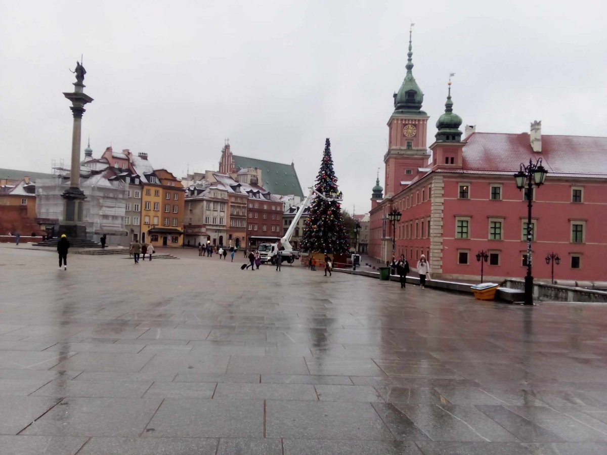 Choinka na Placu Zamkowym i świąteczne witryny sklepów