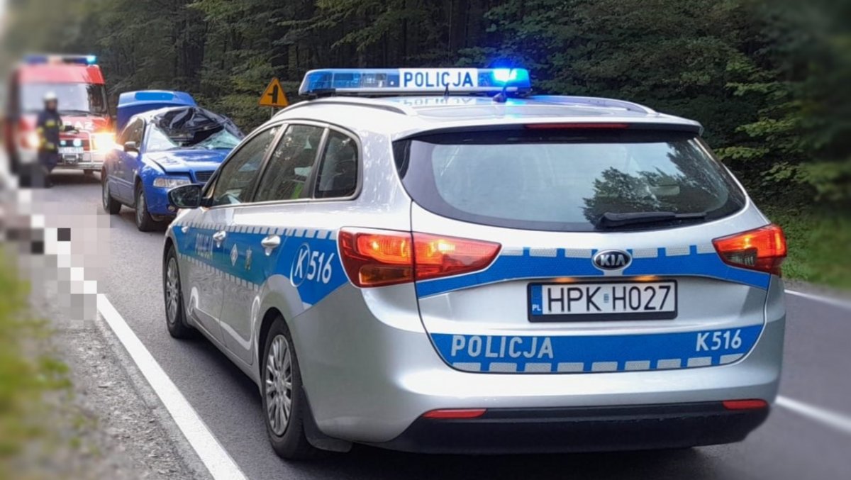 Zderzenie auta z łosiem. Policja apeluje o ostrożność