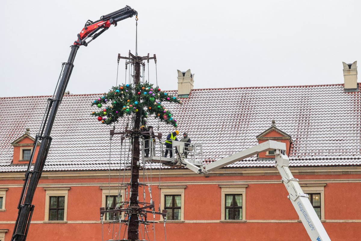 Na Placu Zamkowym wyrasta świąteczna choinka