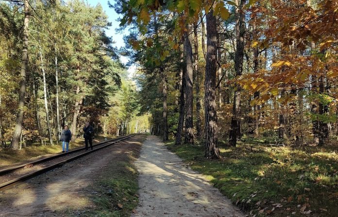 W gminie Piaseczno powstał pierwszy etap ścieżki rowerowej
