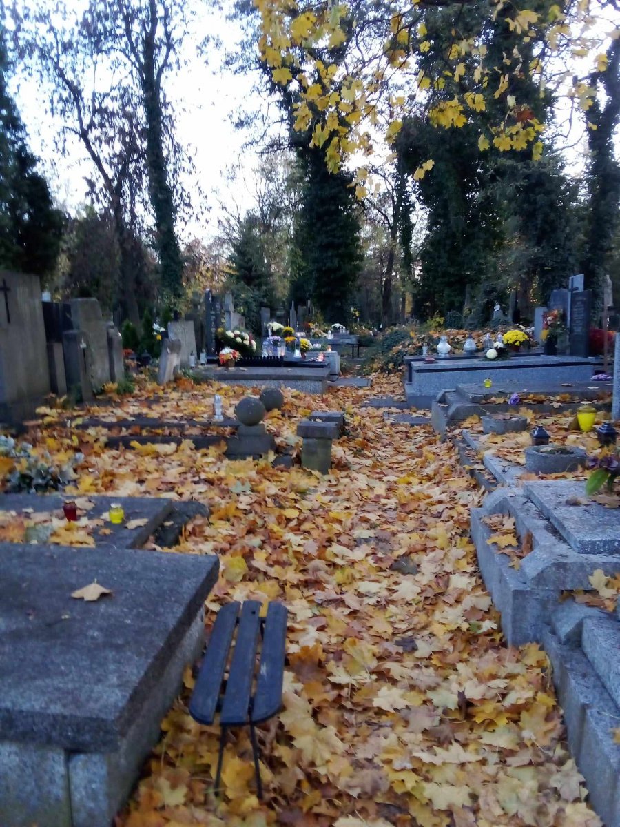 Nekropolia na Bródnie - kiedyś dla biedaków, potem dla sław