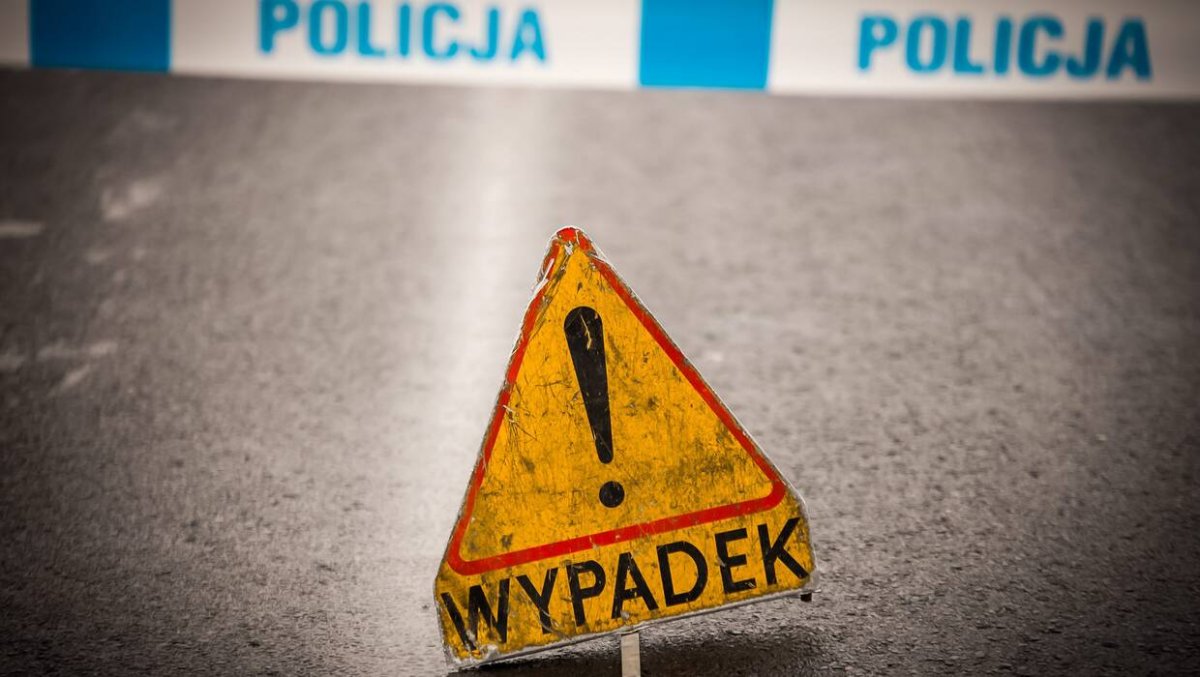 Po potrąceniu sarny na dk 12 wyszedł zobaczyć, co się stało. Zginął na miejscu
