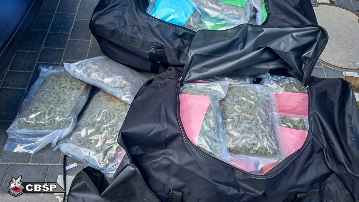 Prawie 200 kilogramów narkotyków wartych ok. 16 mln zł w środowisku warszawskich pseudokibiców