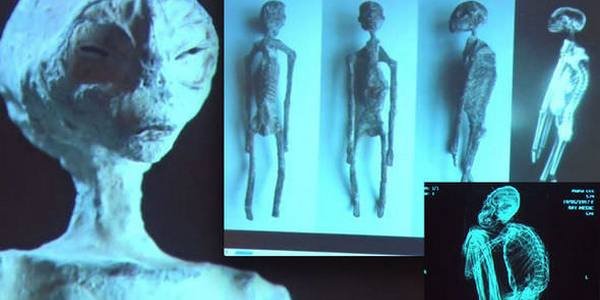 UFO na dobre odleciało z ogórkowego pola?