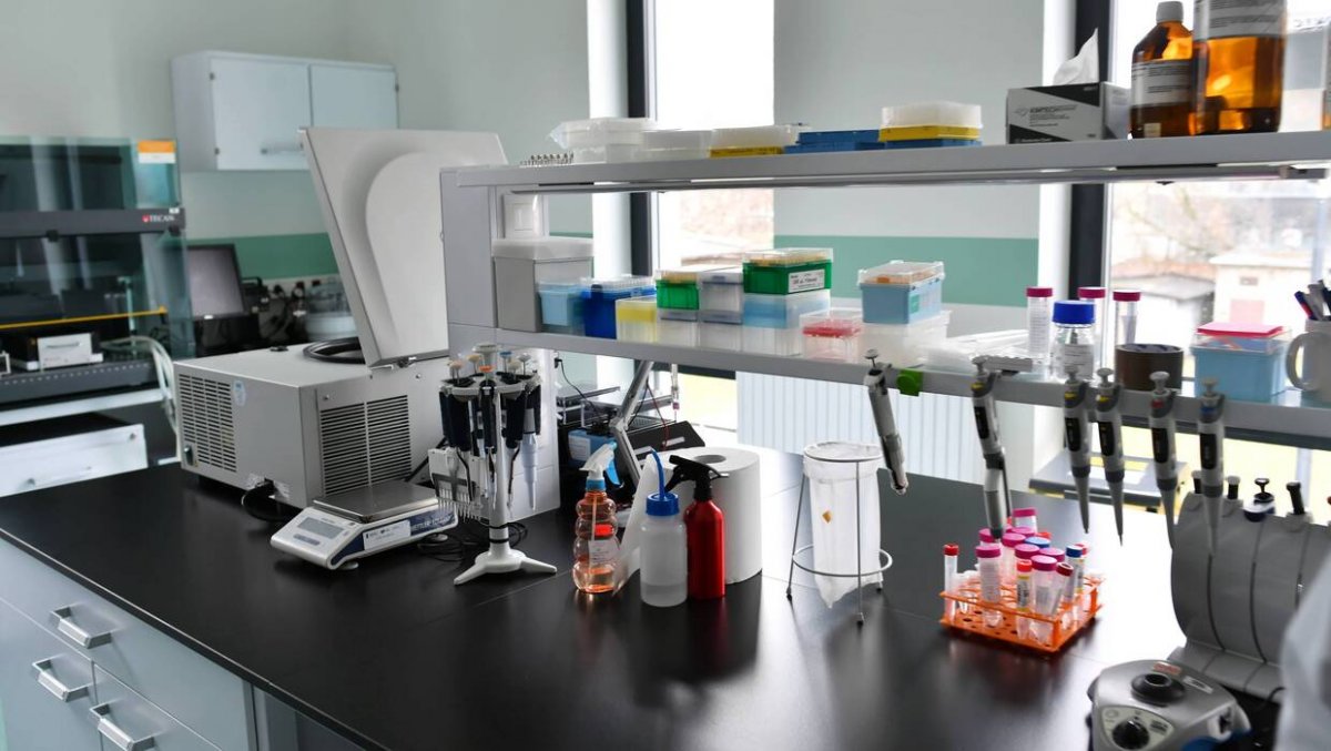 Sanepid wykrył bakterię Legionelli w śródmiejskim przedszkolu