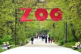 Nieczynny wybieg dla niedźwiedzi przy zoo został pomalowany na złoto