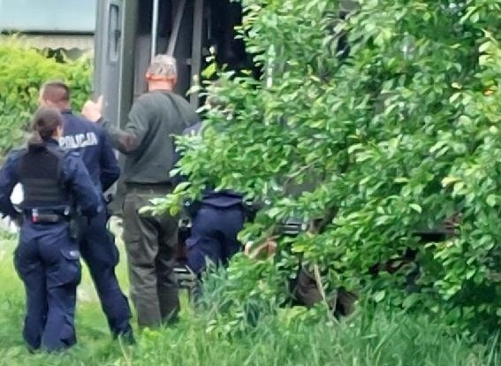 Dzikie polowanie zakończone sukcesem!