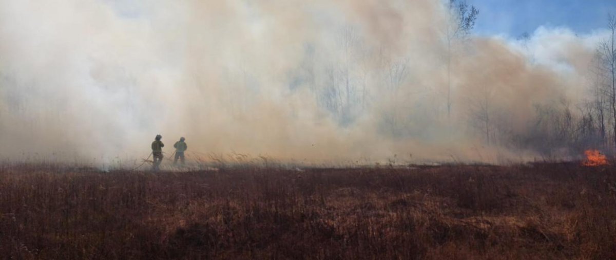 Płonęły torfowiska w rezerwacie – dramatyczna akcja w Wołominie