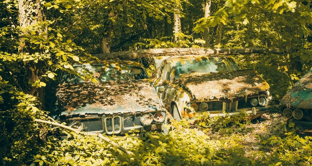 Tajemnicza działka pod Warszawą skrywa zapomniane perełki motoryzacji