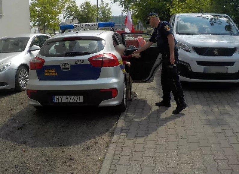 87-latka błądziła ulicami. Pomógł jej strażnik i… człowiek z pamięcią jak skaner