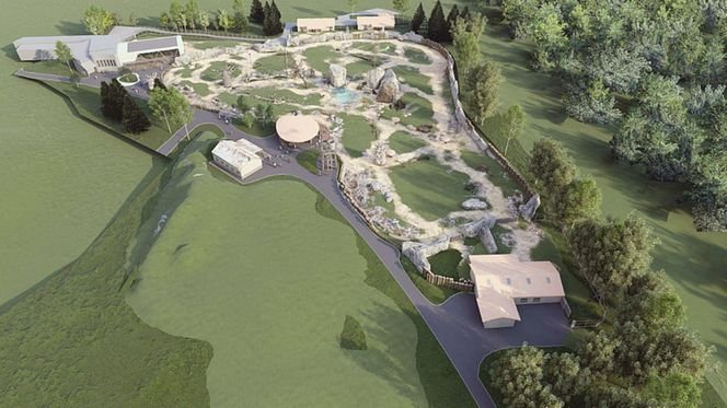 Nowy afrykański wybieg w warszawskim ZOO