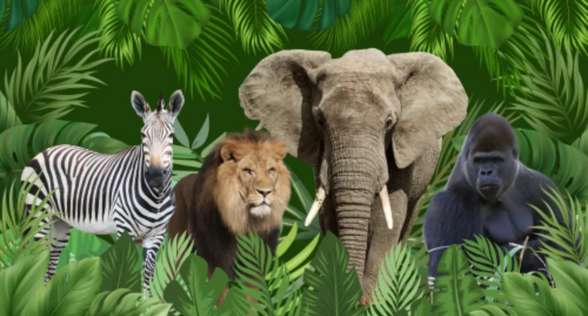 Warszawskie ZOO i rewolucja cyfrowa!