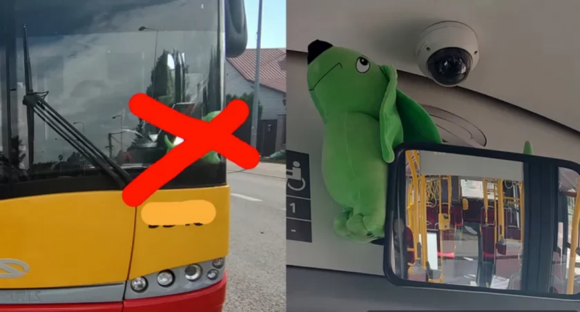 799 zł kary za pluszowego jamnika w autobusie