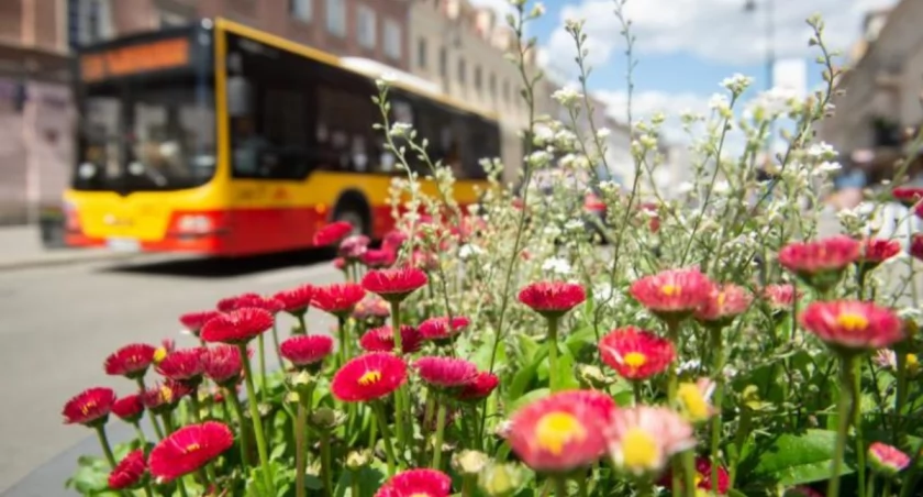 18-metrowa ofensywa na ulicach. Warszawa zwiększa tabor