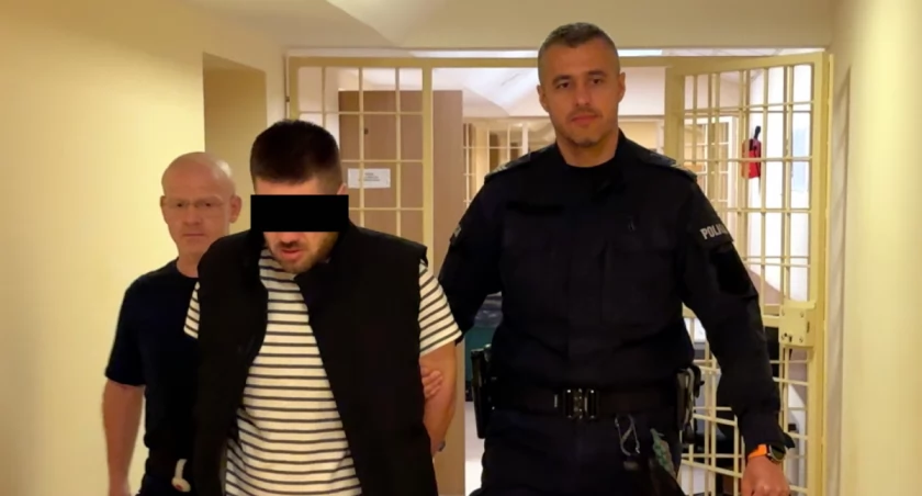 Pijany kierowca potrącił kobietę na pasach. 27-letni obywatel Gruzji usłyszał zarzuty