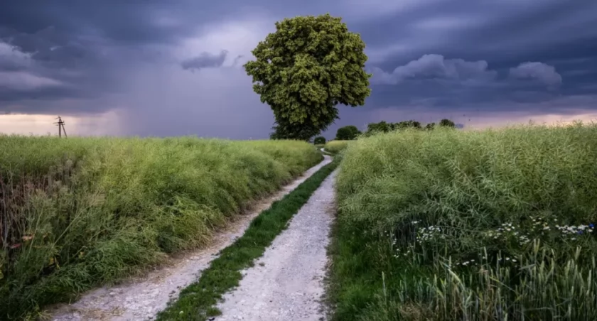 Burze nad Polską – IMGW ostrzega, także w Mazowieckiem