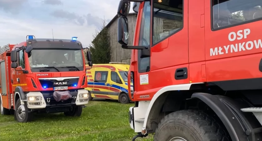Nie zdążyli go uratować. Szerszeń odebrał życie w kilka chwil